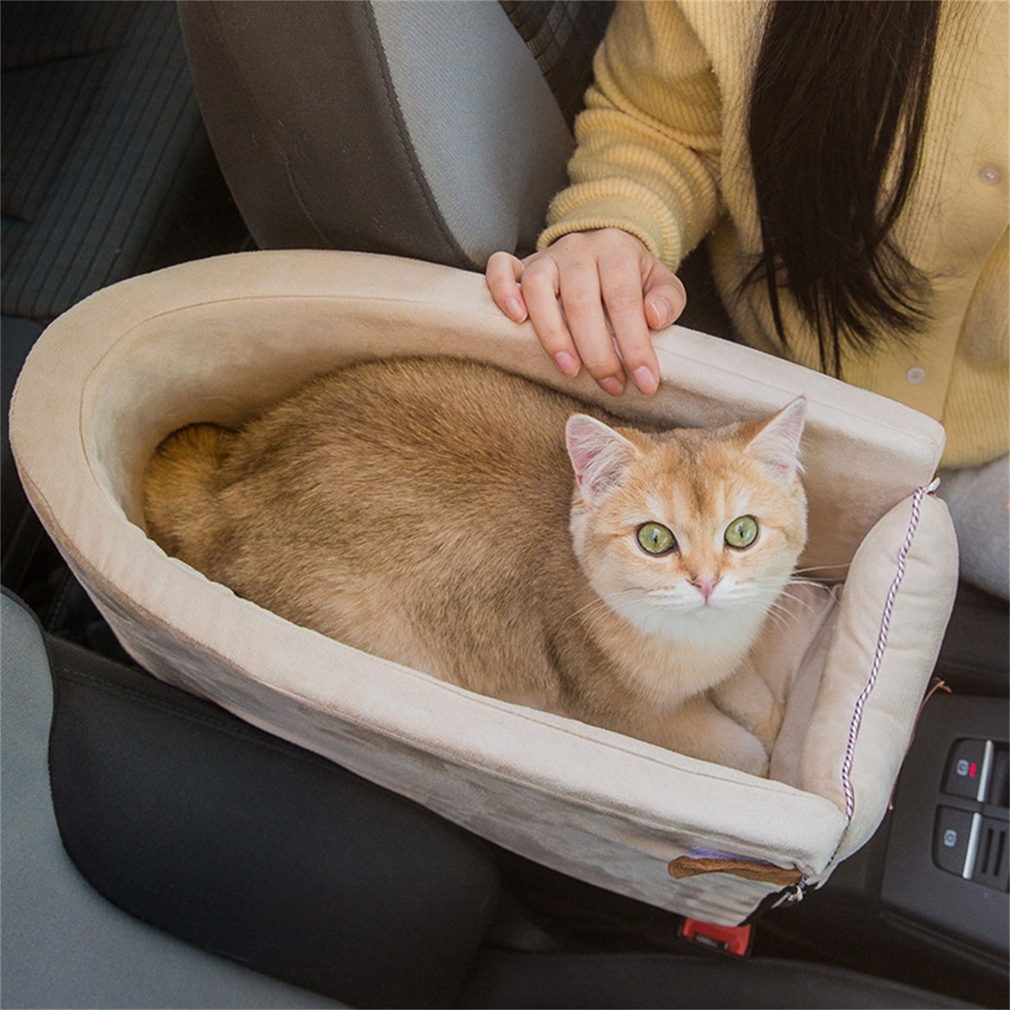 Pet Carpool Seat